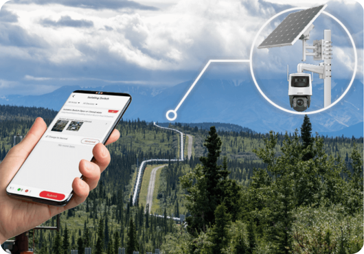 Verificare la distanță