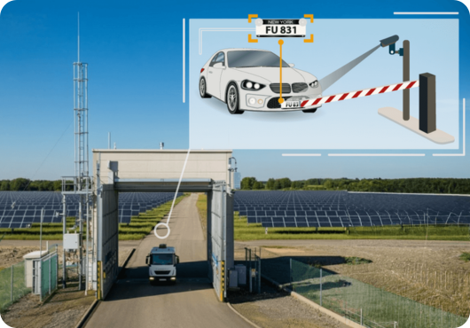 Prezentare vizuală a conținutului