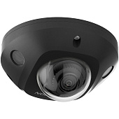 Hikvision Camera de supraveghere DS-2CD2543G2-IS Black
