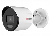 HiWatch Camera de supraveghere DS-I250L